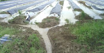 The major challenges of climate change