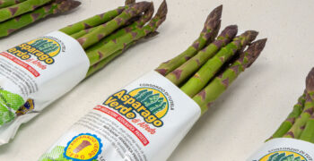 Promoting the authenticity and quality of Green Asparagus of Altedo